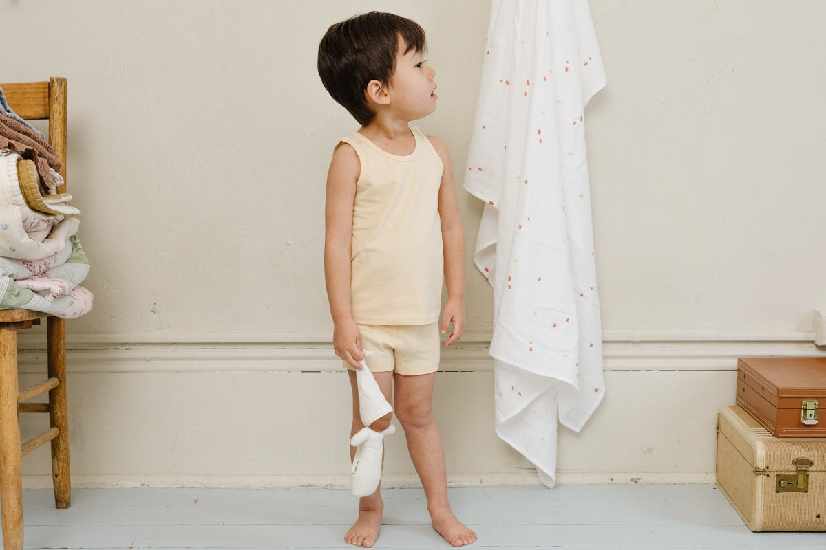 Boy's Undies Set-Shorts