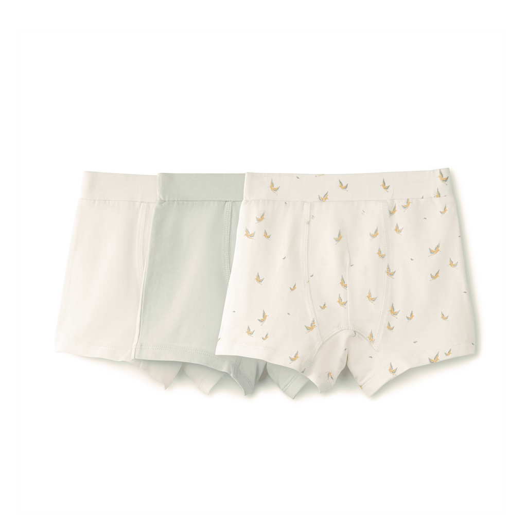 Boy's Shorts Set