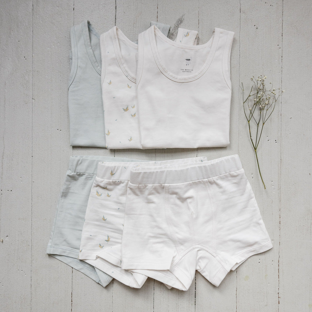 Boy's Undies Set-Shorts